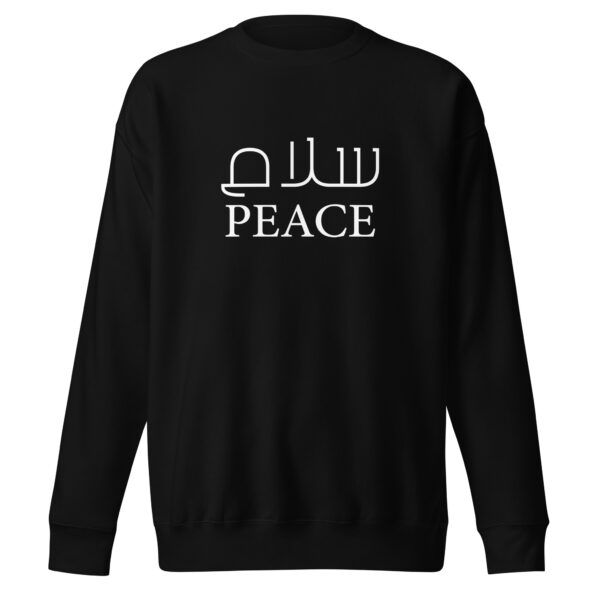 unisex-premium-sweatshirt-black-front-66550e2172583.jpg