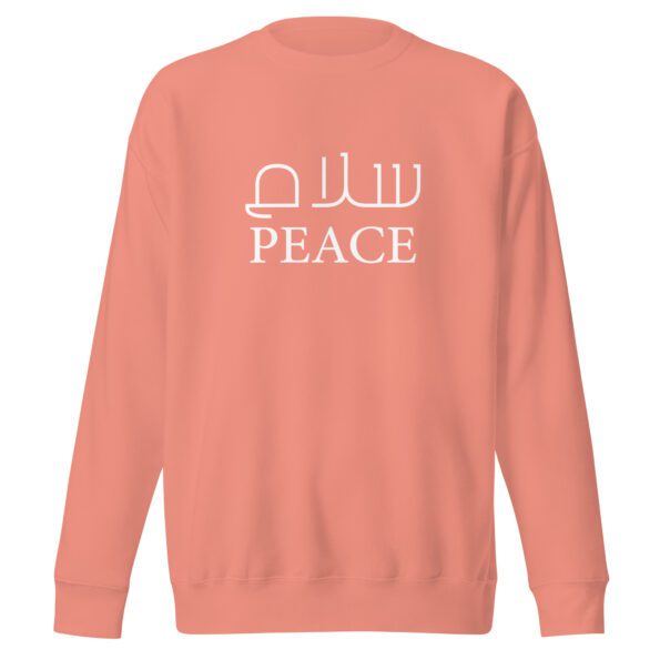 unisex-premium-sweatshirt-dusty-rose-front-66550e21792f8.jpg